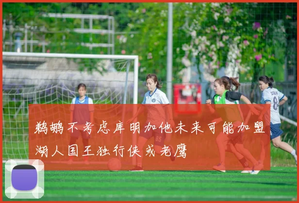鹈鹕不考虑库明加他未来可能加盟湖人国王独行侠或老鹰